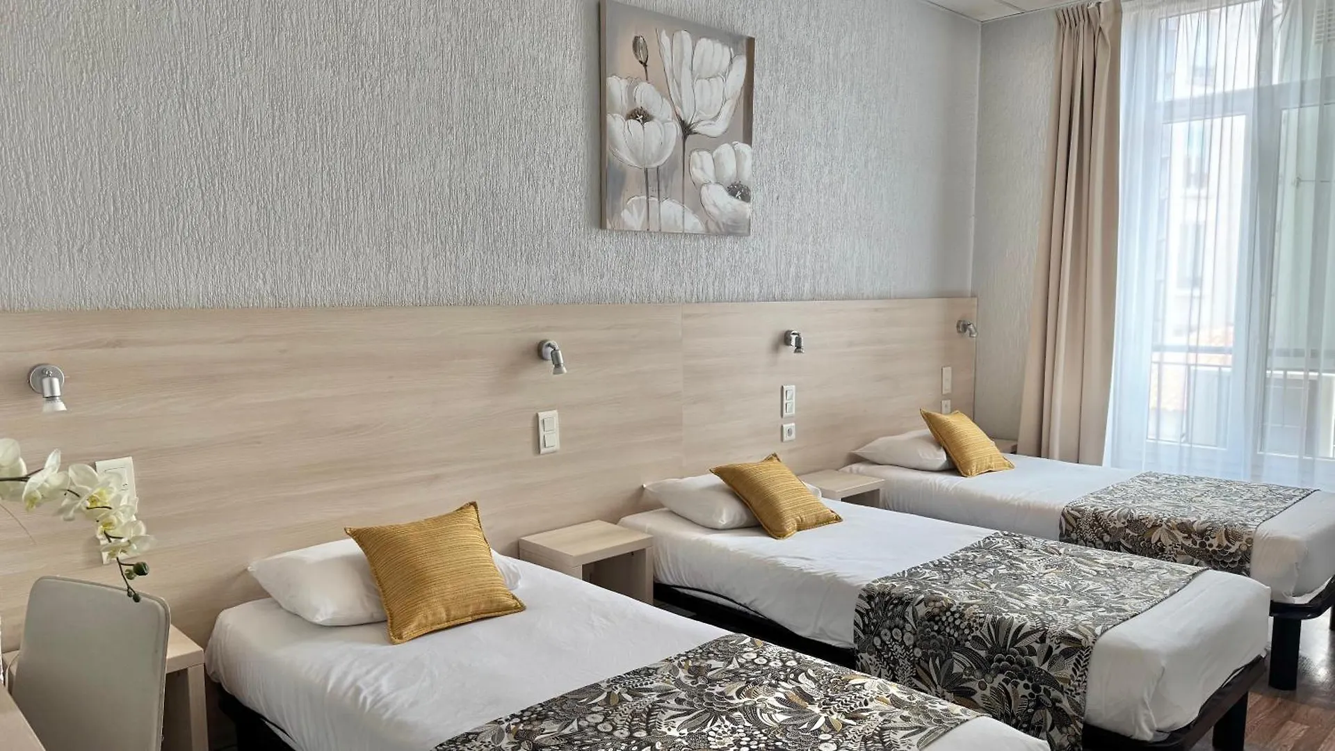 Hotel Hôtel Helvétique Niza